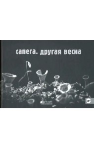 Сапега. Другая весна