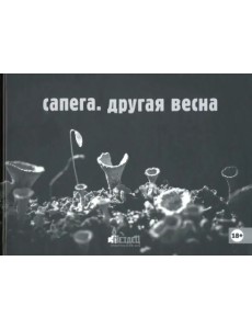 Сапега. Другая весна Сапега. Другая весна