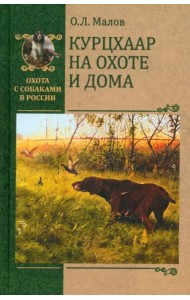 Курцхаар на охоте и дома