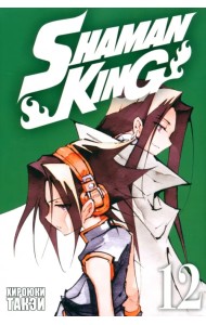 Король шаманов. Том 12