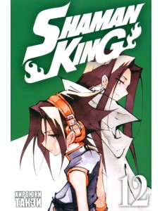 Король шаманов. Том 12