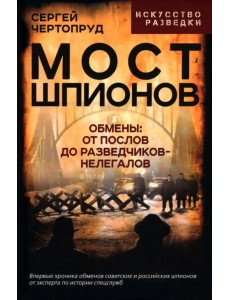 Мост шпионов. Обмены: от послов до разведчиков-нелегалов Мост шпионов. Обмены: от послов до разведчиков-нелегалов