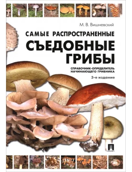 Самые распространенные съедобные грибы. Справочник-определитель начинающего грибника