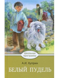 Белый пудель Белый пудель