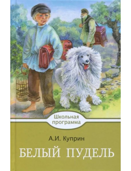 Белый пудель