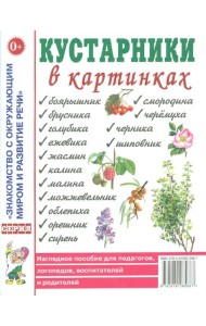 Кустарники в картинках. Наглядное пособие для педагогов, логопедов, воспитателей и родителей