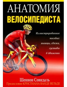 Анатомия велосипедиста Анатомия велосипедиста