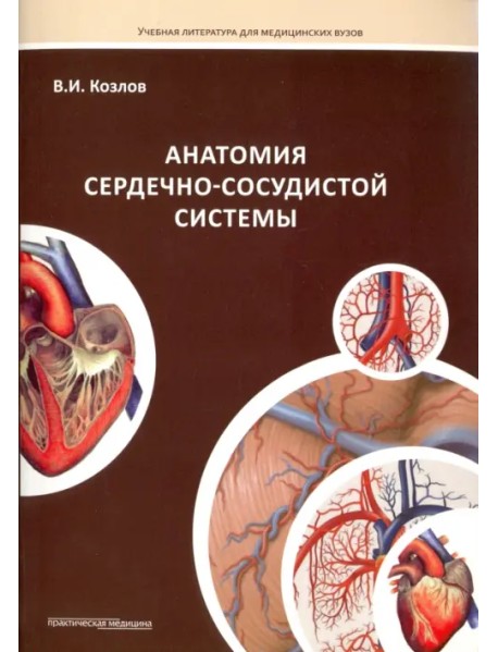 Анатомия сердечно-сосудистой системы. Учебное пособие для студентов медицинских вузов