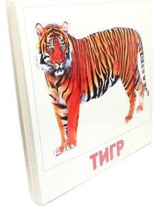 Карточки Домана Дикие животные