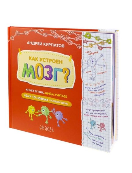 Как устроен мозг? Книга о том, зачем учиться чему-то новому каждый день
