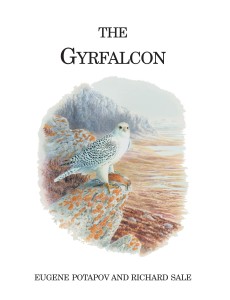 Gyrfalcon