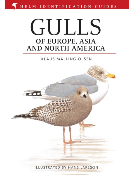 Gulls of Europe, Asia and North America