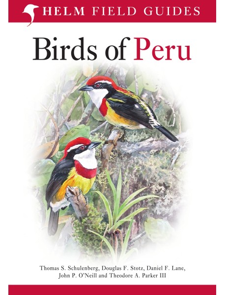 Birds of Peru