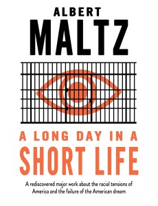 A Long Day in a Short Life A Long Day in a Short Life