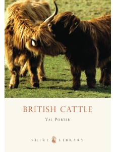 British Cattle