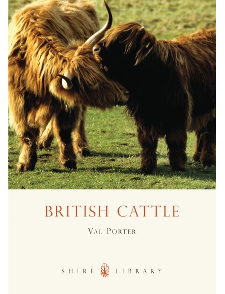 British Cattle