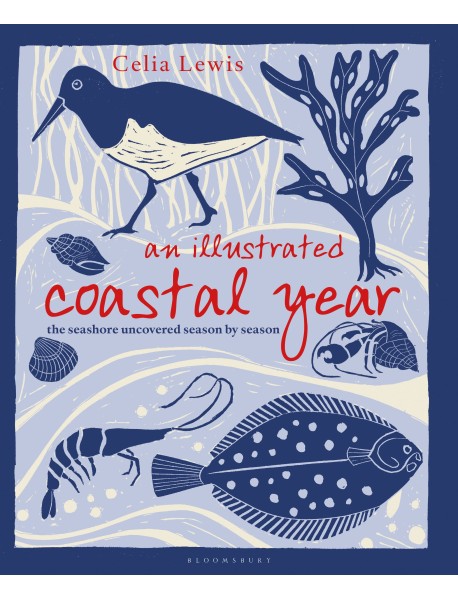 An Illustrated Coastal Year