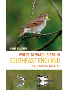 Where to Watch Birds in Southeast England