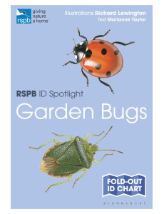 RSPB ID Spotlight - Garden Bugs