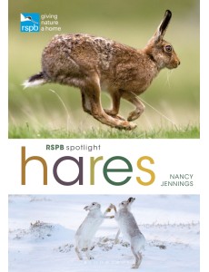 RSPB Spotlight Hares