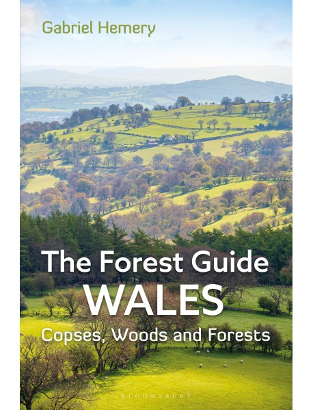 Forest Guide: Wales