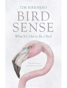Bird Sense