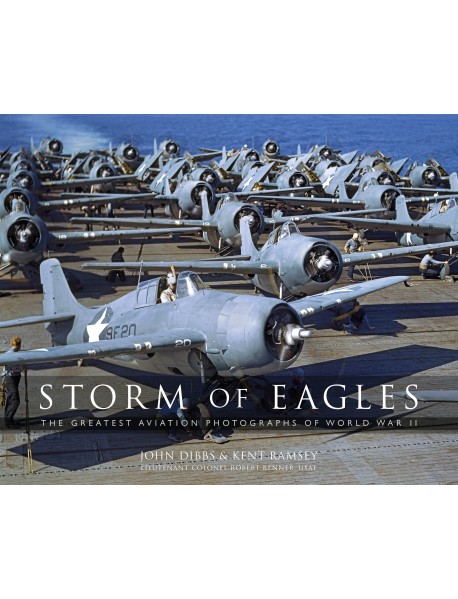 Storm of Eagles