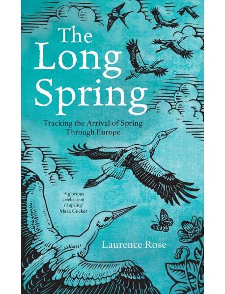 The Long Spring