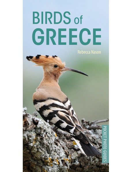 Birds of Greece