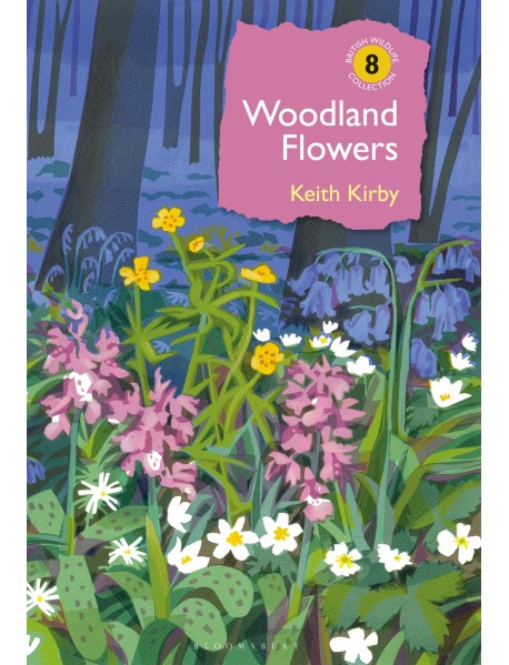 Woodland Flowers