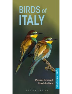 Birds of Italy