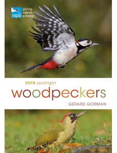 RSPB Spotlight Woodpeckers