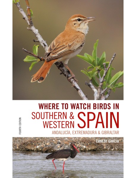 Where to Watch Birds in Southern and Western Spain