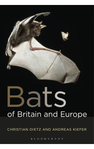 Bats of Britain and Europe
