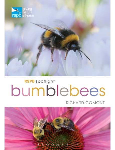 RSPB Spotlight Bumblebees