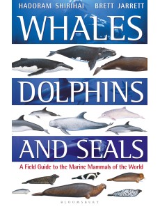 Whales, Dolphins and Seals