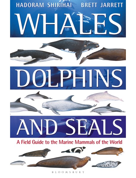 Whales, Dolphins and Seals