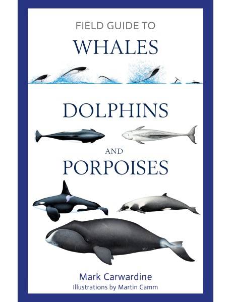 Field Guide to Whales, Dolphins and Porpoises