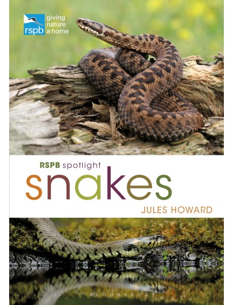 RSPB Spotlight Snakes