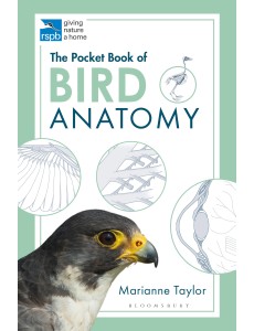 The Pocket Book of Bird Anatomy