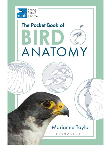 The Pocket Book of Bird Anatomy