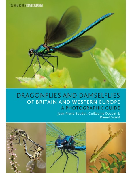 Dragonflies and Damselflies of Britain and Western Europe