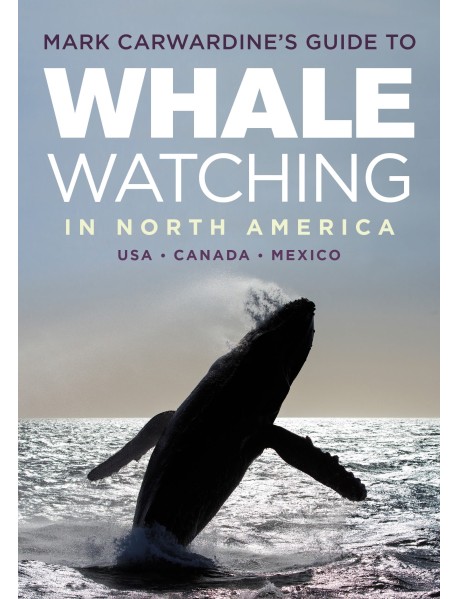 Mark Carwardine's Guide to Whale Watching in North America