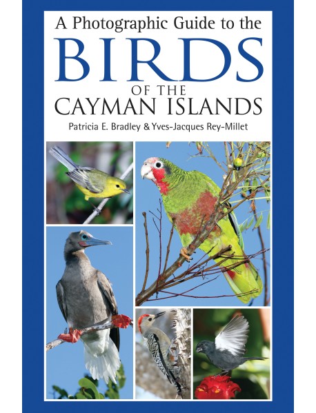 A Photographic Guide to the Birds of the Cayman Islands