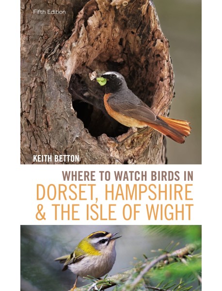Where to Watch Birds in Dorset, Hampshire and the Isle of Wight