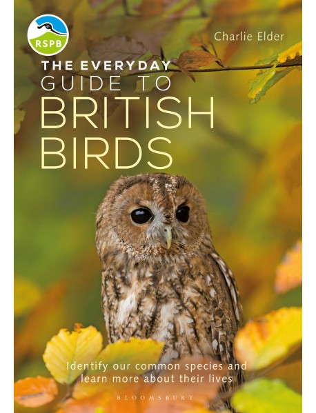 The Everyday Guide to British Birds