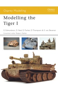 Modelling the Tiger I