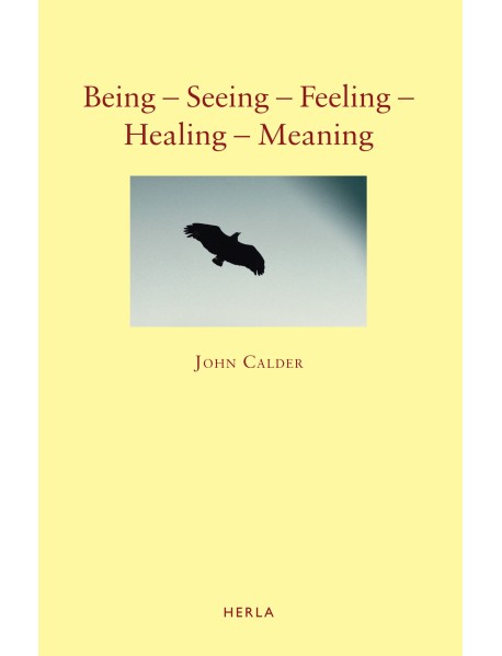 Being – Seeing – Feeling – Healing – Meaning