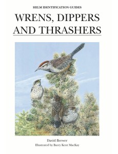 Wrens, Dippers and Thrashers