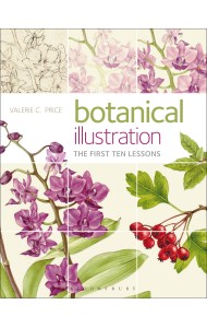 Botanical Illustration